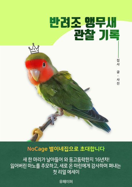 반려조 앵무새 관찰기록 : NoCage 별이네집으로 초대합니다